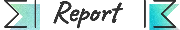 Report