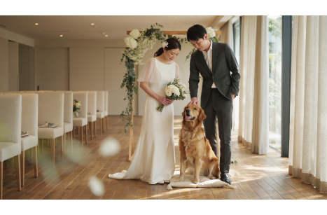 神戸でペット婚を考える前に整理したいこと｜愛犬参加・演出・ゲスト配慮の考え方